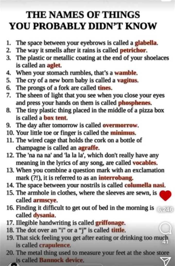 
10 Things You Probably Didn’t Know About Christie Brinkley 