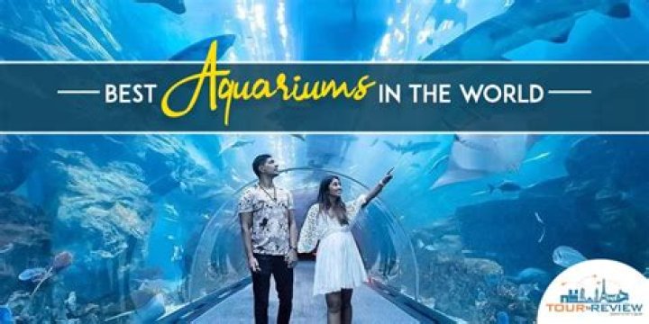 11 Best Aquariums in the World