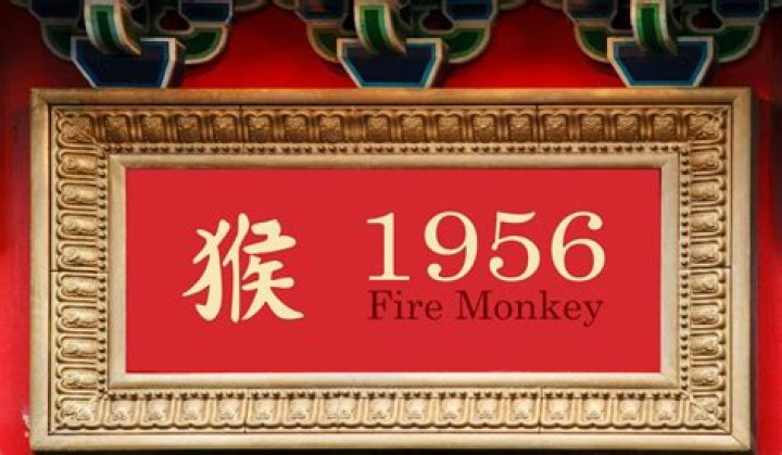 1956 Chinese Zodiac | Fire Monkey