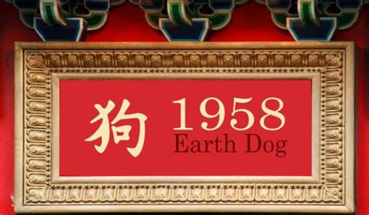 1958 Chinese Zodiac | Earth Dog