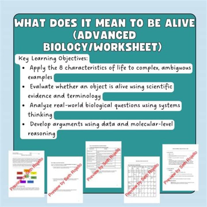 2pac Had Elaborate Plan To Fake His Death, Is Alive According To New Documentary