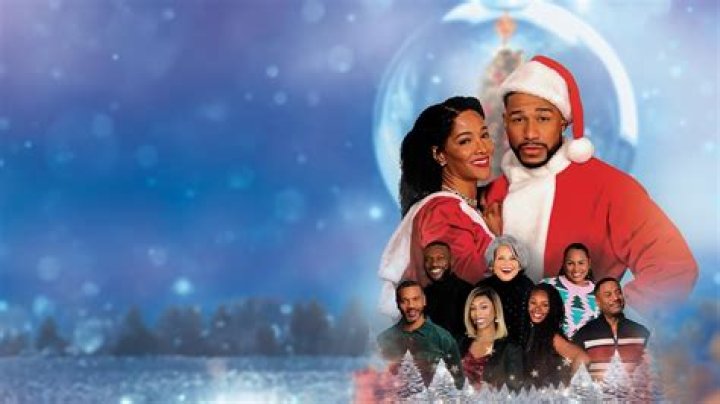 A Christmas miracle: St Nick returns lost dog to North Pole