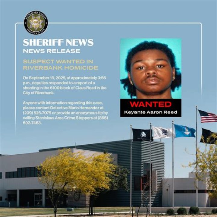 Aaron Reed Bio (Wiki) 