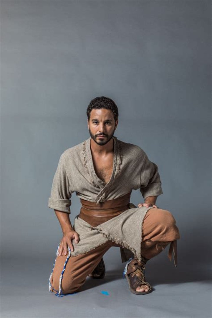 Alaa Safi Bio (Wiki) 