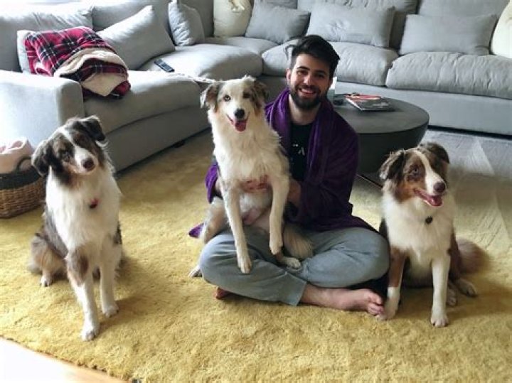 Ali Hassan (SypherPK) Pets - Celebrity Pets