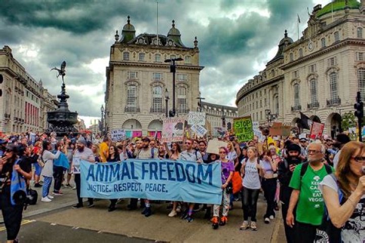 Animal Rights Protest Held Outside of Liam Neeson’s Home