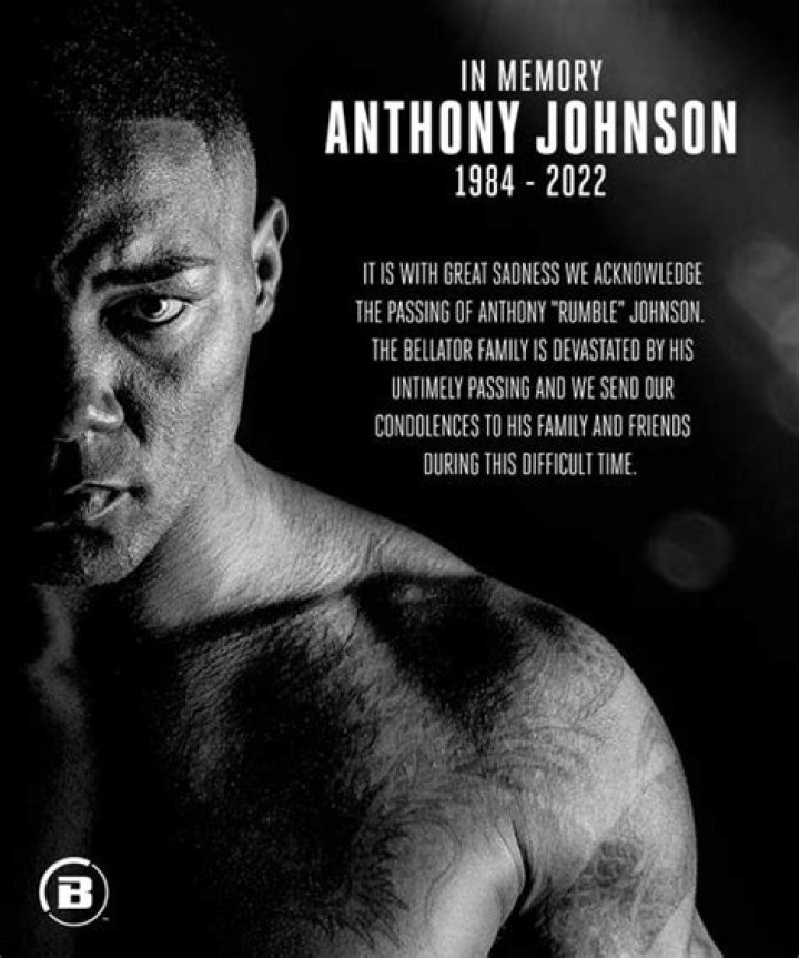 Anthony Johnson UFC record