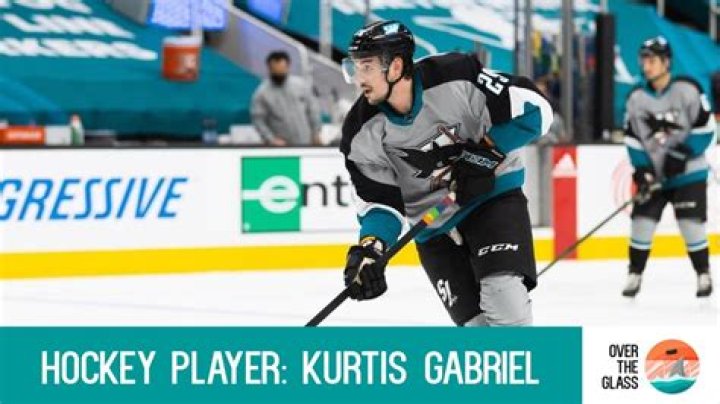 
Are AHL Player Kurtis Gabriel And Mathieu Olivier On Wikipedia? 