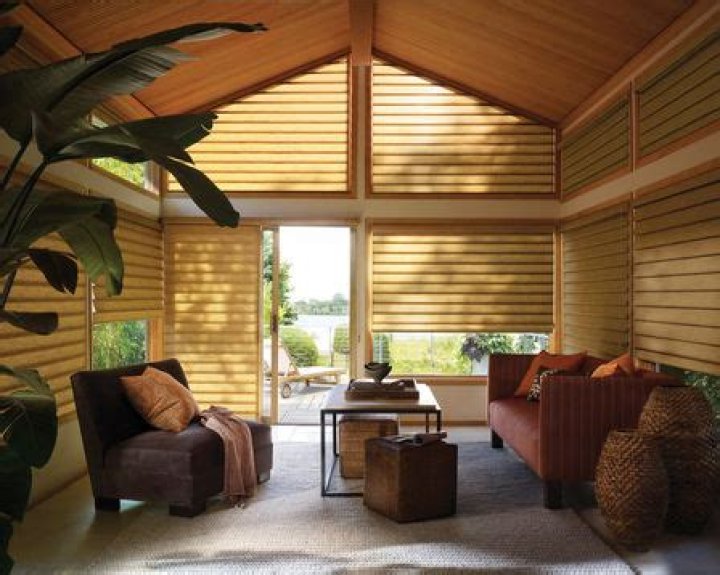 Are Hunter Douglas blinds worth the money?