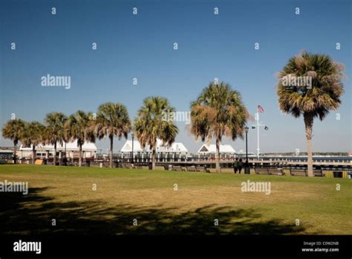 Are there palm trees in Charleston SC?