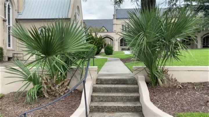 Are there palm trees in Wilmington North Carolina?