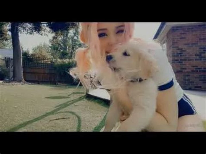 Belle Delphine Pets - Celebrity Pets