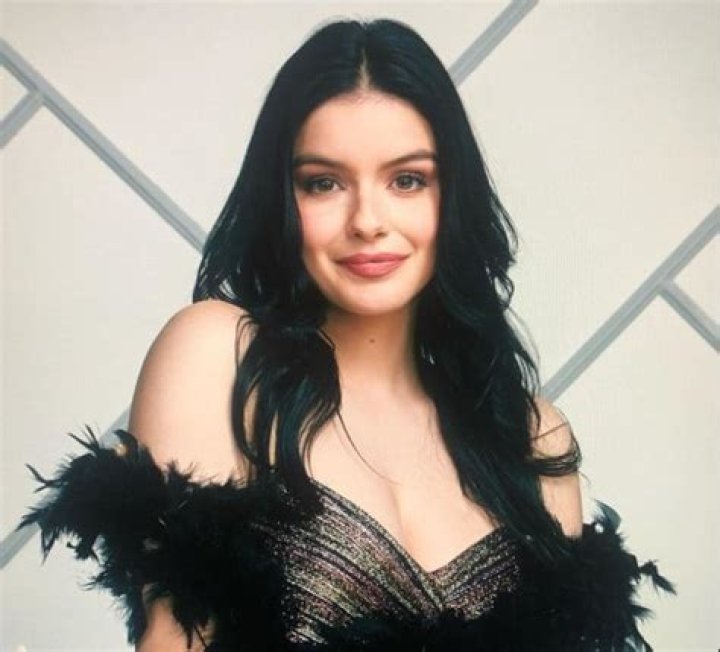 Brie Bella Bio (Wiki) 