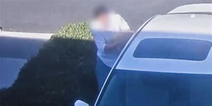 
California man charged after video footage shows him stealing dog through window of parked car 