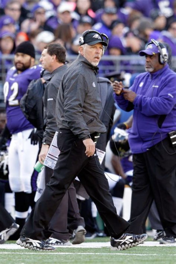 Cam Cameron Net Worth - Wiki, Age, Weight and Height, Relationships, Family, and More