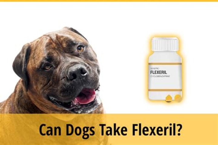 Can a dog take Flexeril?