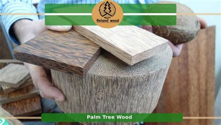 Can palm tree wood be burned?