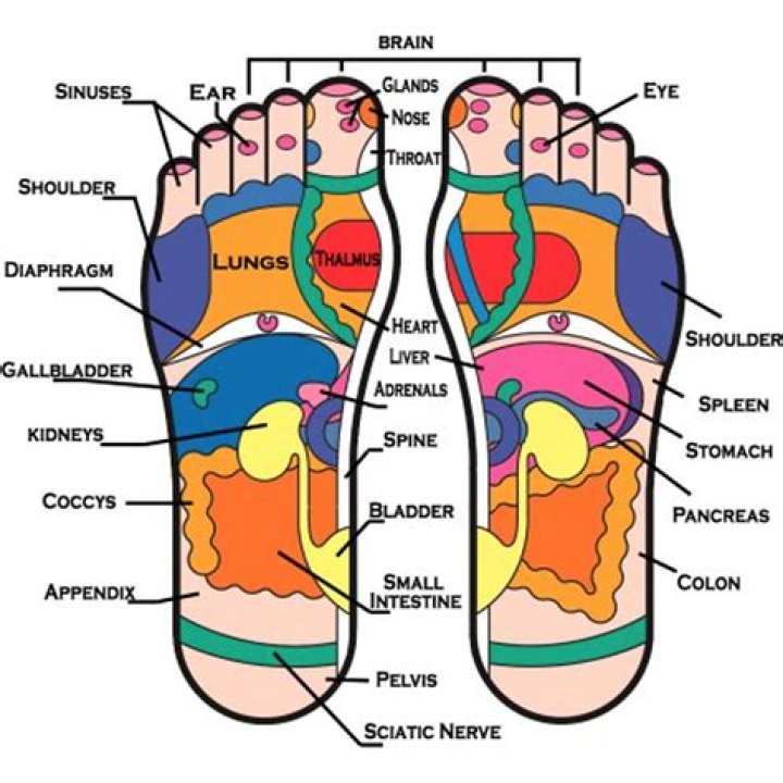 Can reflexology help adrenal fatigue?
