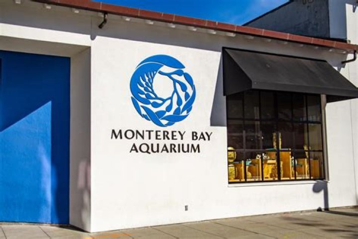 Can you bring food into Monterey Bay Aquarium?