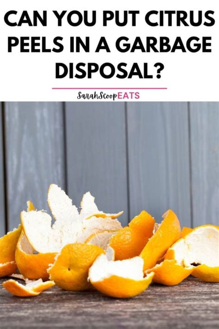 Can you put citrus peels in a garbage disposal?