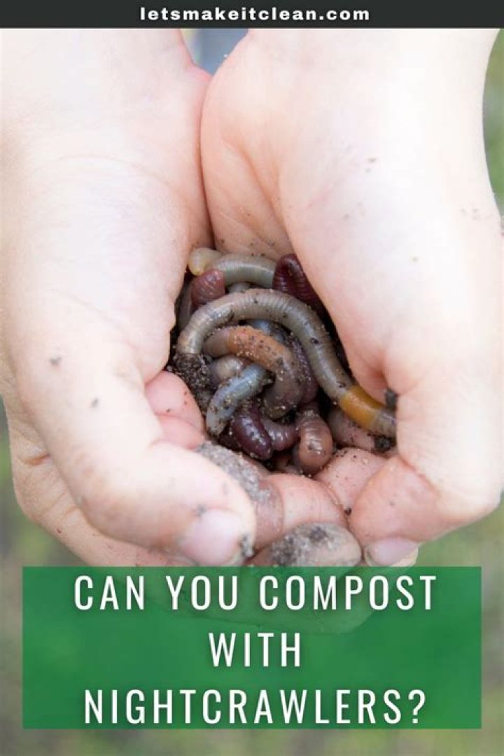 Can you use Nightcrawlers for composting?
