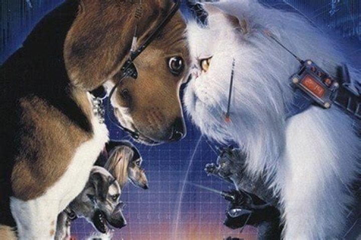 Cats & Dogs - Cast, Ages, Trivia