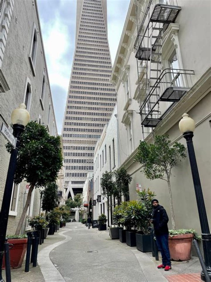 Celebrities Born In San Francisco, California