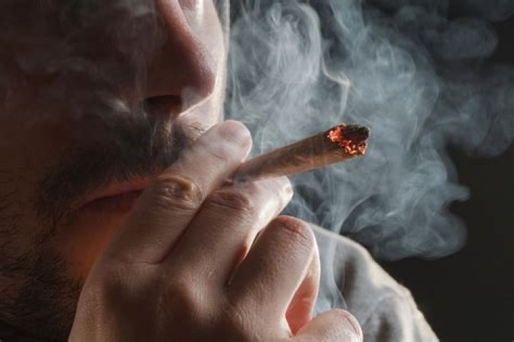 Celine Dion admits to smoking pot in Amsterdam