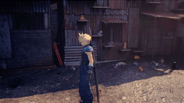 Cloud the Cat - Age, Family, Bio