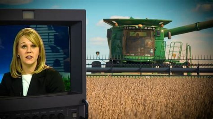 Dawn Farmer Bio (Wiki) 