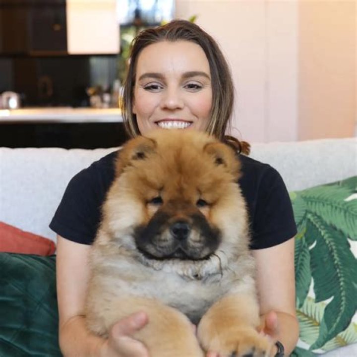 Deligracy Pets - Celebrity Pets