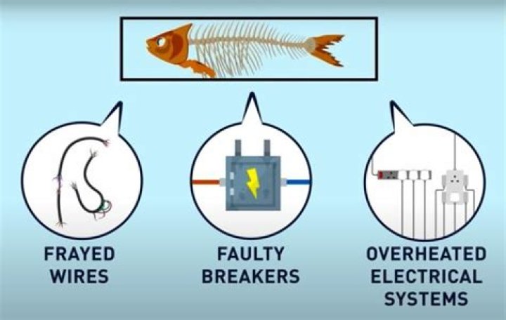 Do electrical fires smell like fish?