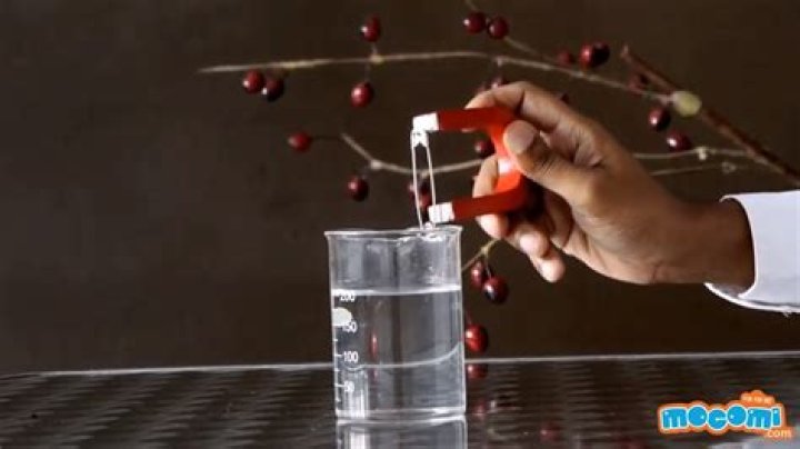 Do magnets work in water?