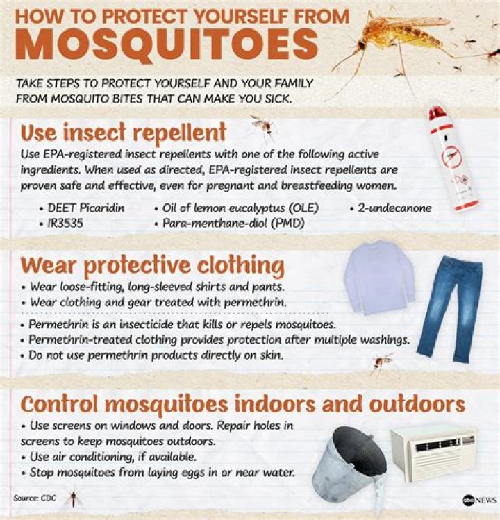 Do mums repel mosquitoes?