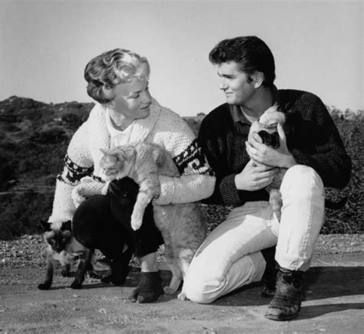 Dodie Levy-Fraser: Everything On Michael Landon's Ex-Wife