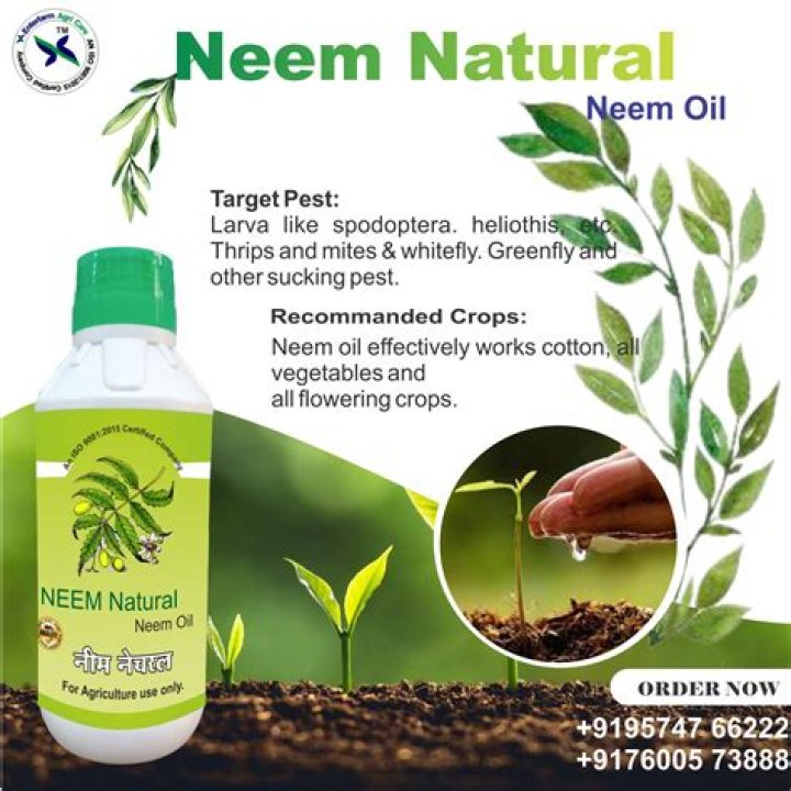 Does neem oil wash off with rain?