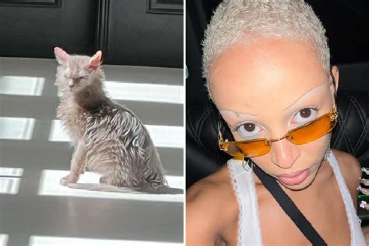 Doja Cat antagonized her ‘Kitten’ fandom, told them to delete their accounts