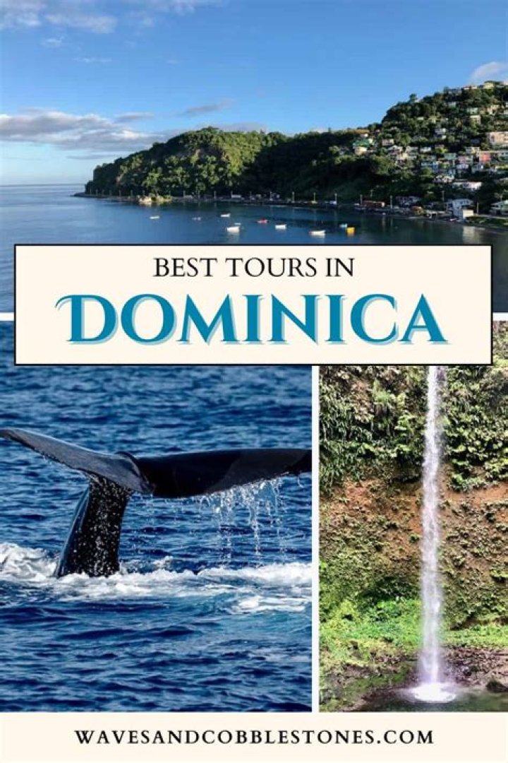 Dominica Shore Excursions & Cruise Excursions