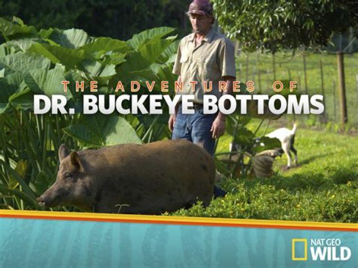 Dr. Buckeye Bottoms vet’s Bio: Death, Family, Cancelled, Married, Personal Life, Age, Net Worth