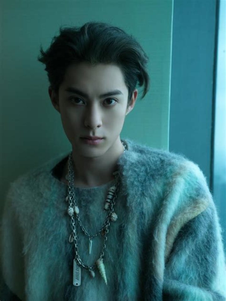 Dylan Wang Height, Weight, Net Worth, Age, Birthday, Wikipedia, Who, Nationality, Biography