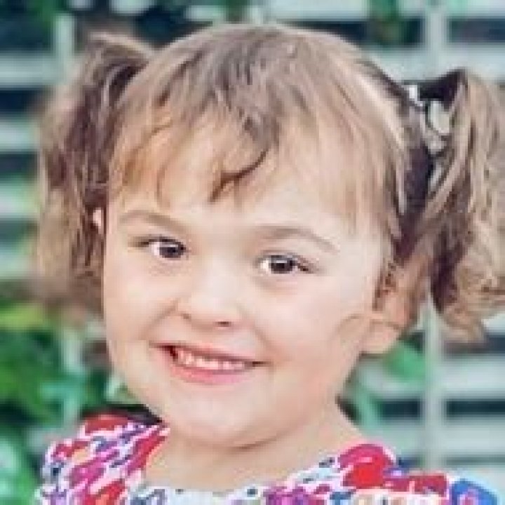 Ellie The Pug - Trivia, Family, Bio