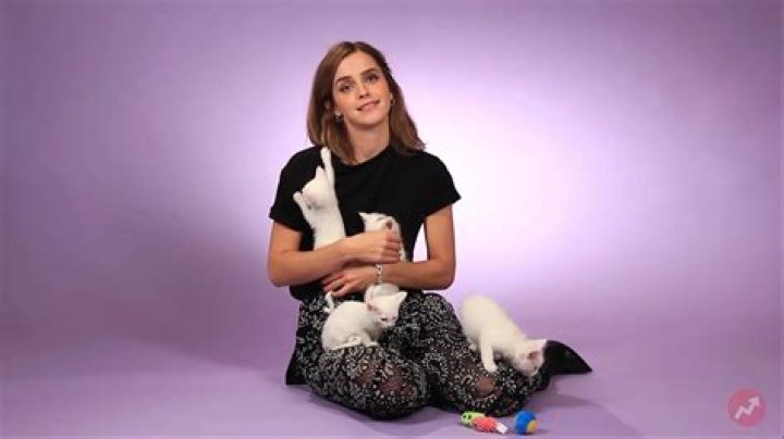 Emma Watson Plays with Kittens and Talks After Beauty and The Beast