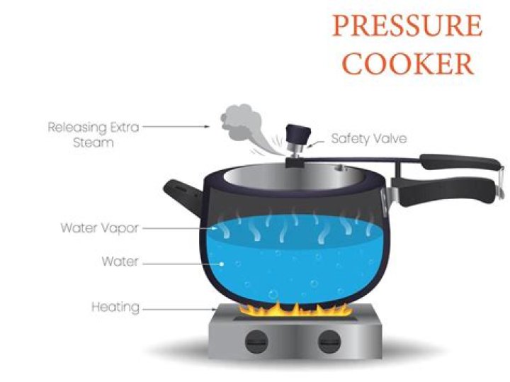 Fans Are Convinced Caroline And Sergei On Pressure Cooker Are Dating, Here’s Why