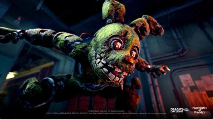FNAF Flix - Age, Family, Bio