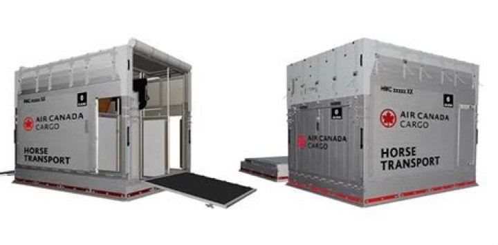 Forget cats and dogs, Air Canada has planes just for horses