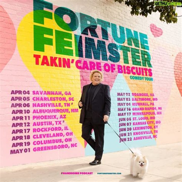 Fortune Feimster Bio (Wiki) 