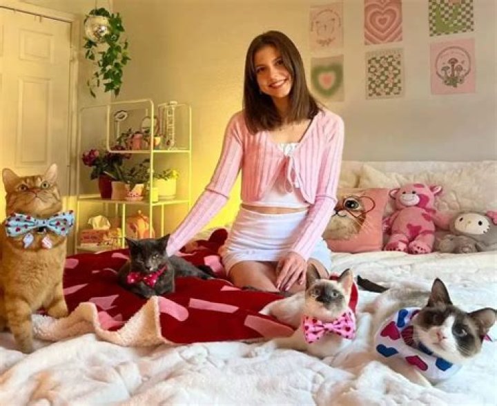 From Feral to Familiar: The Story of Little Pumpkin and her Fur-Ever Family