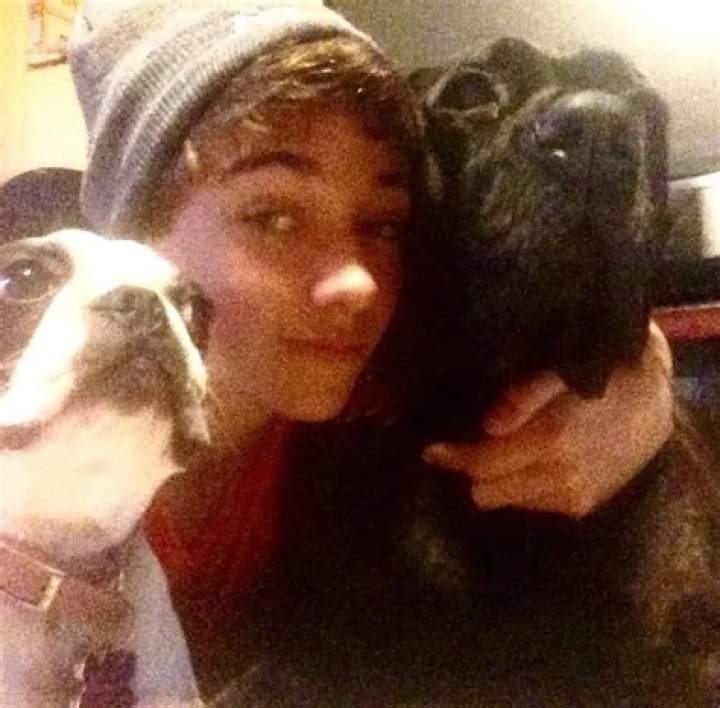 Gavin Casalegno Pets - Celebrity Pets