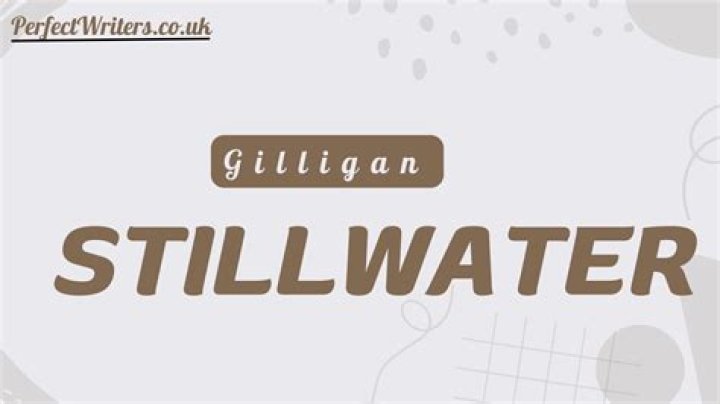 Gilligan Stillwater net worth 2024