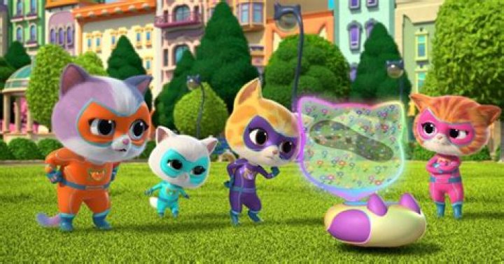 Ginny Cha Bio (Wiki) 